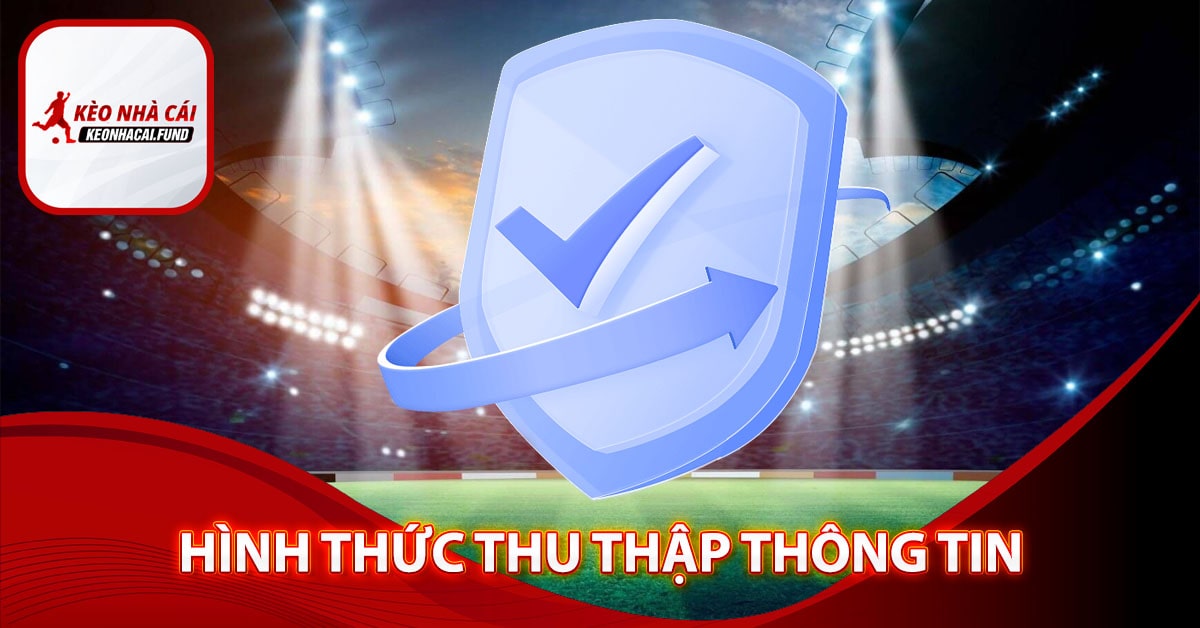 Hình thức thu thập thông tin 