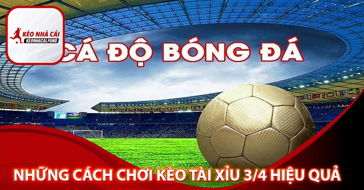 Những cách chơi kèo tài xỉu 3/4 hiệu quả