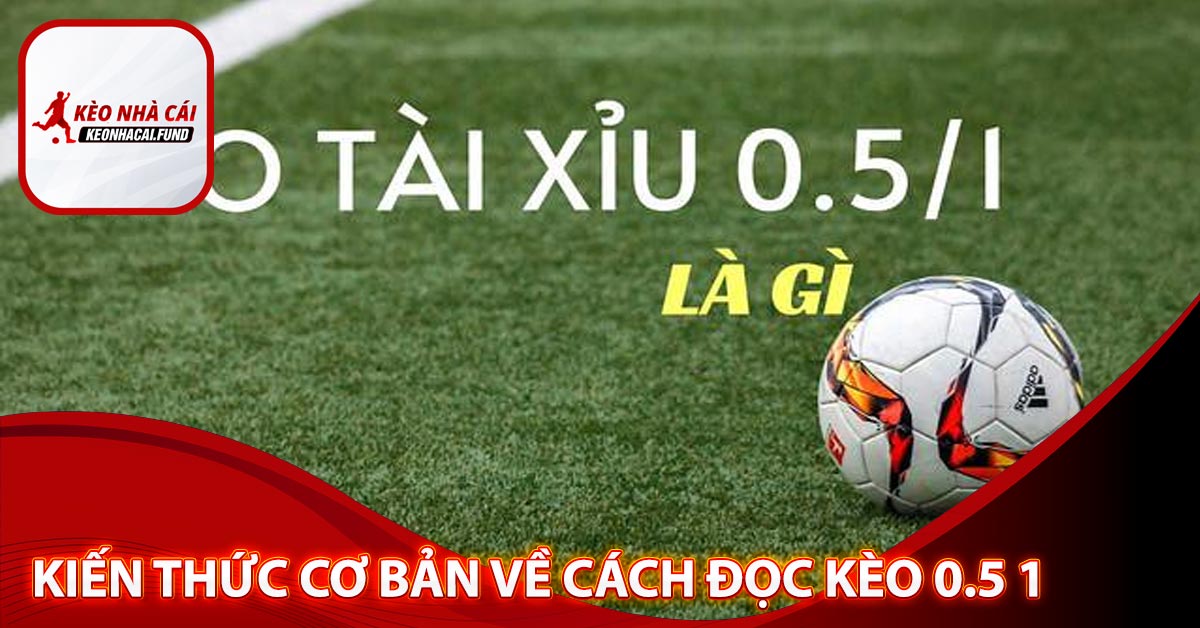 Những kiến thức cơ bản về cách đọc kèo 0.5 1