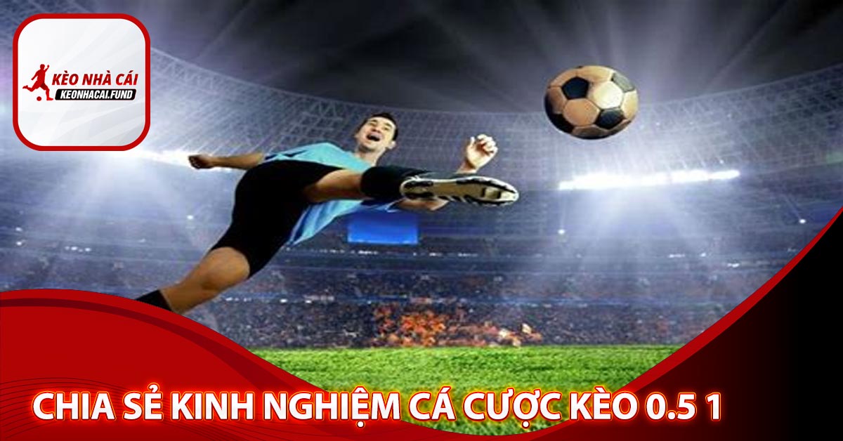 Chia sẻ kinh nghiệm cá cược kèo 0.5 1